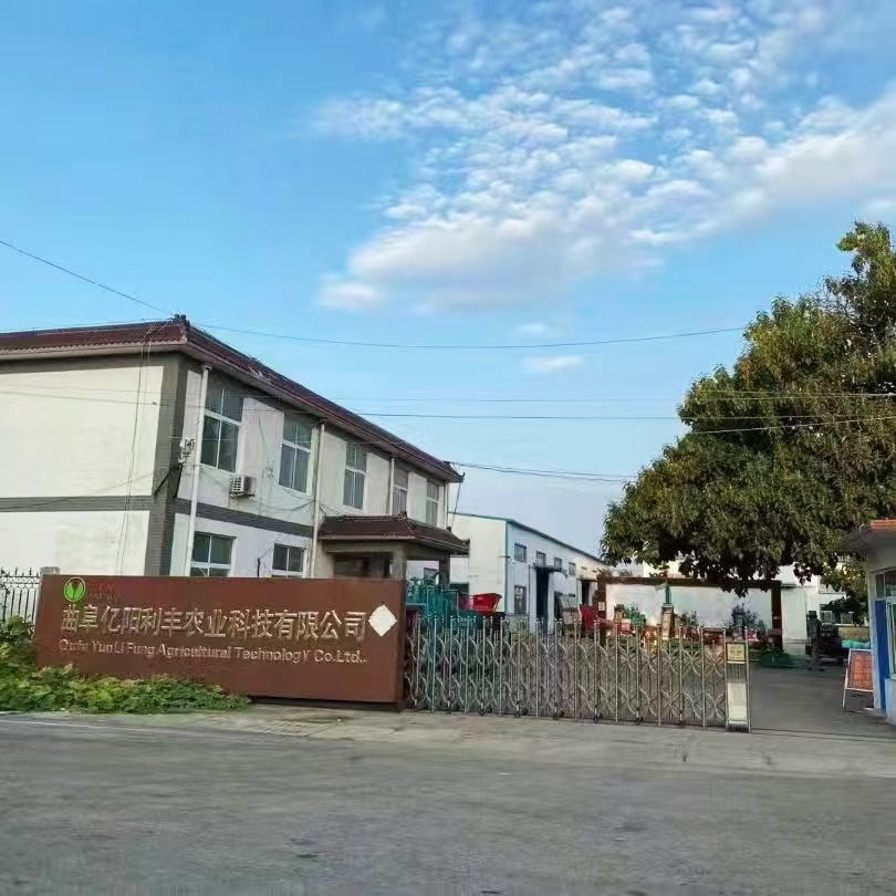 實力廠區(qū)